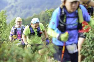 BIB: 
                            <button type="button" onclick="openModal(24764383)" class="btn btn-primary btn-sm float-right btn-popup" data-toggle="modal" data-target=".modal-high-quality">
                        <i class="fas fa-shopping-cart"></i> Add to Cart
                    </button>
                                            <button type="button" onclick="isThisMe(24764383, true)" class="btn btn-success btn-sm float-right btn-popup btn-isme hidden" data-toggle="tooltip" data-placement="bottom" title="นี่คือรูปของคุณใช่ไหม คลิกที่นี่เพื่อเอาเข้าอัลบั้ม">
                        <i class="fas fa-plus"></i> Add to album
                    </button>
                    <button type="button" onclick="isThisMe(24764383, false)" class="btn btn-warning btn-sm float-right btn-popup btn-isnotme hidden">
                        <i class="fas fa-ban"></i> Remove from album
                    </button>